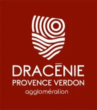 Dracénie